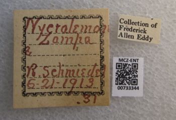 Media type: image;   Entomology 733344 Aspect: labels